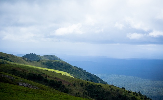 体育场景延 体育场景延