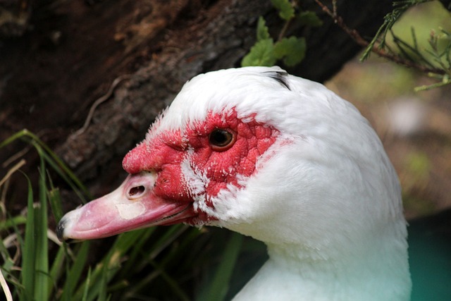 也可能是考 也可能是考