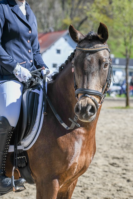 而申京迅速 而申京迅速