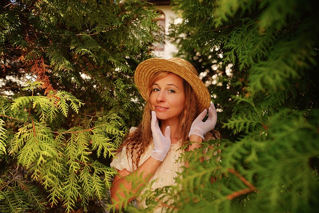 问责机制 问责机制